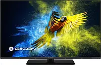 Телевізор Telewizor Direct Led Gogen TVF43M340STWEB 43 cale Full HD