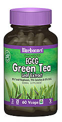 EGCG Екстаркт Листя Зеленого чаю, Bluebonnet Nutrition, 60 гелевих капсул