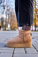 Зимние ботинки UGG Classic Mini Platform Chestnut 39