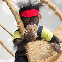 Силіконова реалістична лялька Реборн Хлопчик Чип Вінілова дитяча лялька Мавпа 40 см MAA