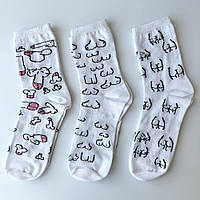 Подарочный Набор носков "18+" 12 Пар 40-45 размер белые Отличное качество