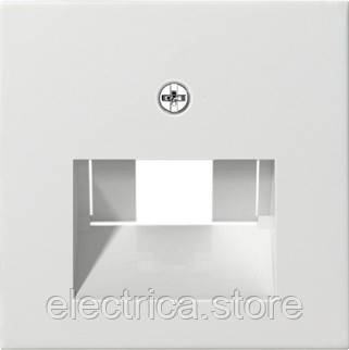 Накладка комп'ютерна UAE IAE ISDN System 55 білий Gira 027003, фото 1