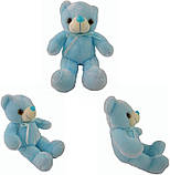 Мяка іграшка нічник Ведмедик з підсвіткою 30см голубий, фото 6