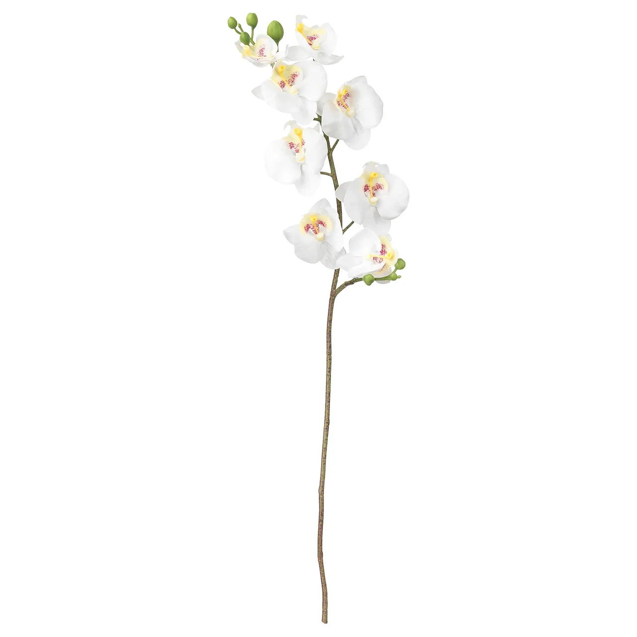 ІКЕА SMYCKA Штучна квітка Орхідея/білий, 60 см 80333585