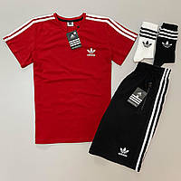 Спортивный костюм летний Adidas красный мужской | Комплект Футболка + Шорты + 2 пары носков Адидас