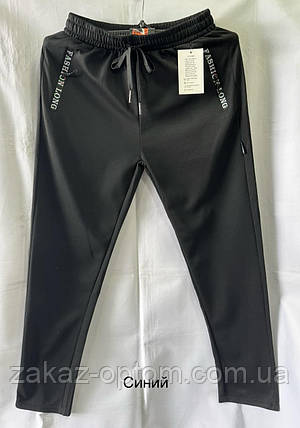 Спортивні штани чоловічі норма синій оптом (XL-5XL) Китай 2416-120887, фото 1