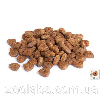 Bonacibo Adult Dog | Корм для дорослих собак з ягня 4 кг, фото 3