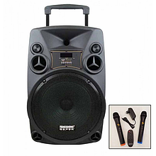 Акустична колонка Temeisheng SL-1214 з мікрофонами