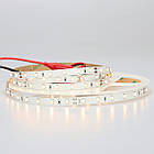 Світлова стрічка Ustrip LED60-2835-W40-24V-12W білий денний, фото 3