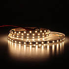 Світлова стрічка Ustrip LED60-2835-W40-24V-12W білий денний, фото 5