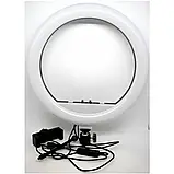 💙Кільцева світлодіодна LED лампа YQ 30 см утримувачем для телефону та кріпленням під штатив, фото 2