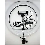 💙Кільцева світлодіодна LED лампа YQ 30 см утримувачем для телефону та кріпленням під штатив, фото 4
