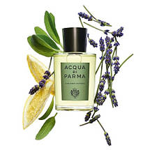 Acqua di Parma Colonia Futura одеколон 100 ml. (Аква ді Парма Колонія Футура), фото 5