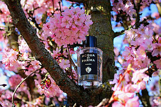 Acqua di Parma Sakura парфумована вода 100 ml. (Тестер Аква ді Парма Сакура), фото 6