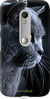 Пластиковий чохол Endorphone Motorola Moto G3 Красивий кіт (3038m-318-26985) CS, код: 7501371
