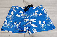 Шорты Плавки боксерки для купания для мальчика на 1-8 лет синие