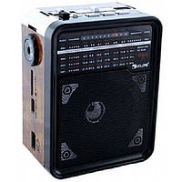 Радиоприемник с USB выходом GOLON RX-9100 Чёрный с коричневым ds