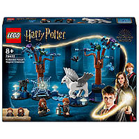 Конструктор Lego Harry Potter Запретный лес: волшебные существа 76432, 172 детали, Toyman