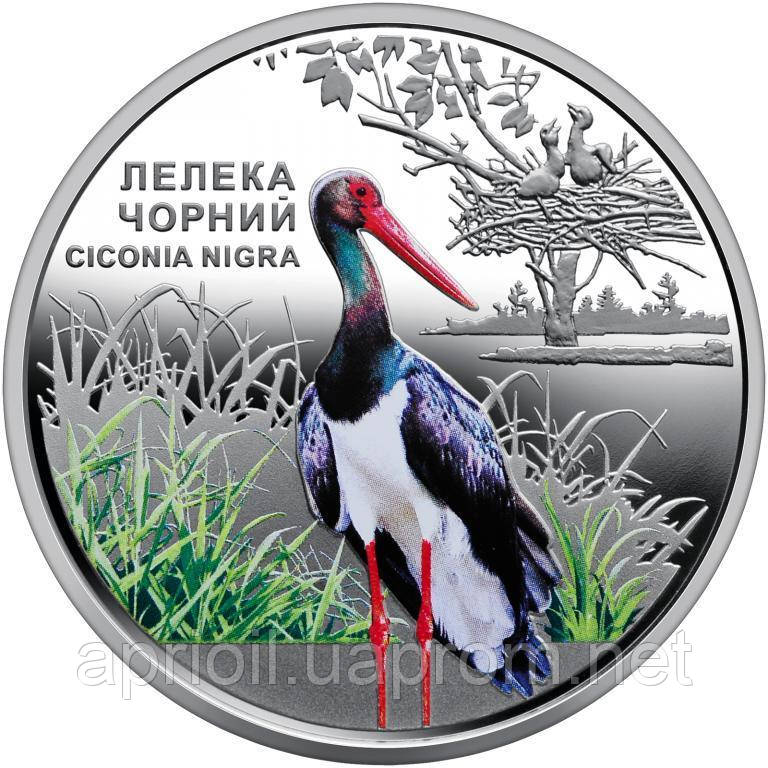 Монета НБУ Чорнобиль. Відродження. Лелека чорний в капсулі 2024 р. 5 гривень