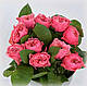 Троянда чайно-гібридна Вувузела Пінк (Pink Vuvuzela), фото 2