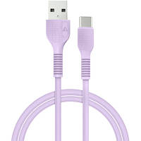 Дата кабель USB 2.0 AM to Type-C 1.2m AL-CBCOLOR-T1BK Purple ACCLAB (1283126518270) - Вища Якість та Гарантія!