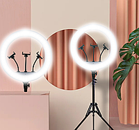 Кольцевая LED лампа с 3 креплениями и пультом с сумкой RL-21 для телефона кольцо для блоггеров 54см ОРИГИНАЛ