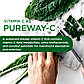 Біодоступні щоденні вітаміни преміумкласу Emerald Labs Complete Premium Multi 60 капсул, фото 3
