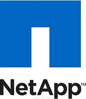 Контролер NetApp FAS2240 moth razem z O MEM razem z O Batt (X3245AR6)