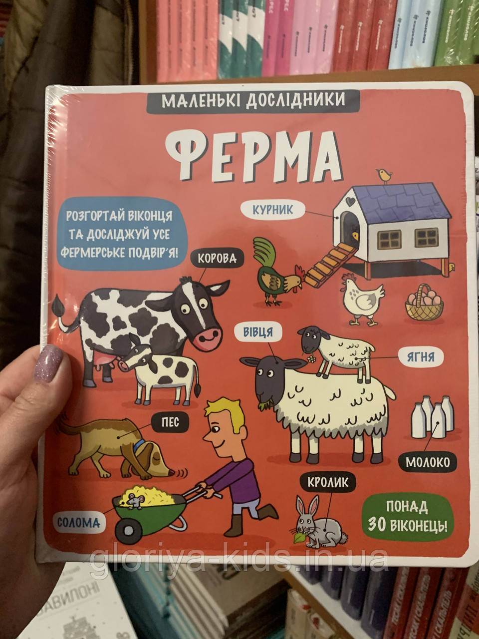 Маленькі дослідники Ферма