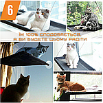 Підвісна Лежанка Для Котів та Собак Великий Гамак на Вікно з Присосками для Тварин до 25 кг 67 см, фото 8