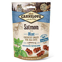 Лакомство для кошек Carnilove Salmon with Mint 50 г (для зубов) p