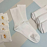 Тенісні чоловічі шкарпетки білі Limerence, 41-45 р, 12 пар