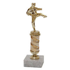 Статуетка нагородна каратист h=22см