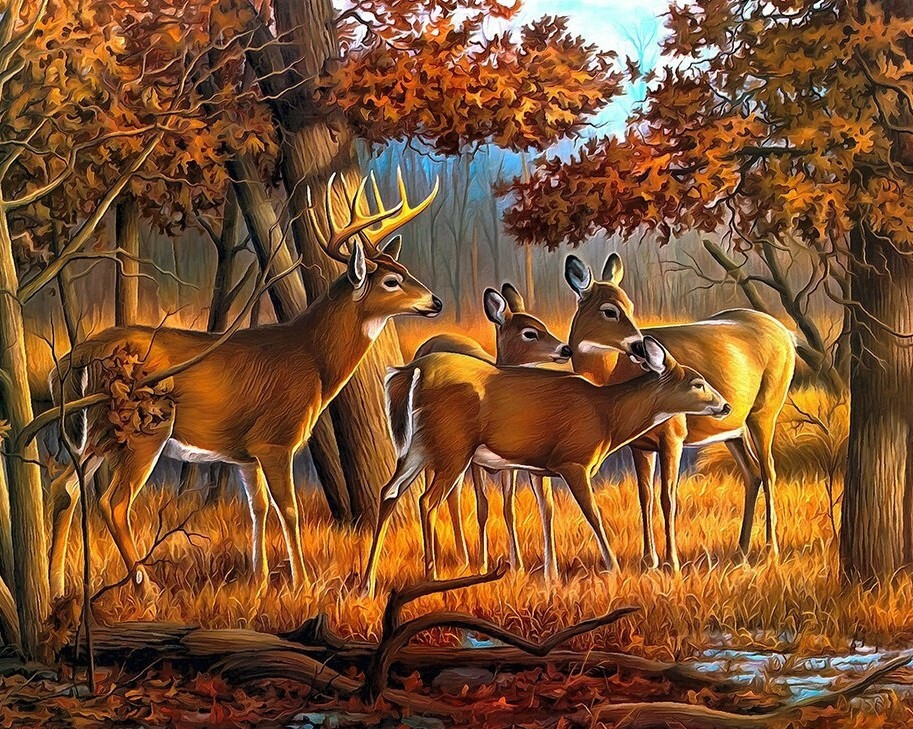 Алмазна мозаїка Сімейство оленят My-Art TN1218 (40 x 50 см) на підрамнику, фото 1