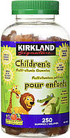 Kirkland Signature Children's Multi-vitamin Gummies 250 Gummies витамины для детей киркленд