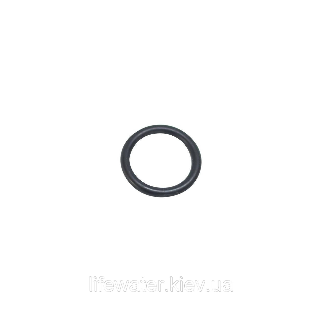 Прокладка повітряного клапану фільтру Hayward SX0200Z5, фото 1