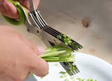 Ножиці для нарізки зелені з 10 лезами шеткой для очищення 22 см, фото 4