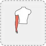 Бавовняний компресійний рукав "Стоп-Слайд Комфорт" із силіконовою вставкою для лікування лімффедеми 2 клас 23-32, фото 3