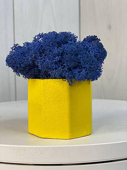 Кашпо зі стабілізованим мохом 1 шт. M@M Еко Декор Сірий. (021mm f)