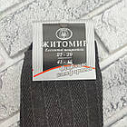 Шкарпетки чоловічі високі літо сітка р.41-45 асорті ЖИТОМИР ОК ДУКАТ 30038838, фото 3