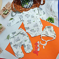 Комплект на виписку для немовлят в пологовий будинок преміум якість 56 розмір супер тканина Коала