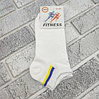 Шкарпетки жіночі короткі весна/осінь р.36-40 асорті прапор FITNESS ДУКАТ 30038818, фото 2