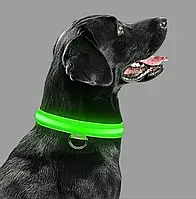 Светящийся LED ошейник, поводок для животных собак и кошек зеленый М