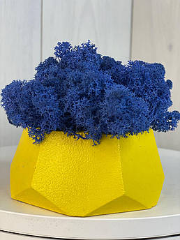 Композиція кашпо зі стабілізованим мохом M@M Еко Декор Сірий. (023mm )