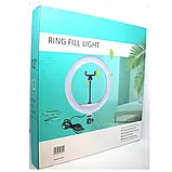 💙Кільцева світлодіодна LED лампа YQ 30 см утримувачем для телефону та кріпленням під штатив, фото 6