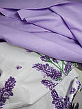 Постільна білизна ранфорс Лаванда, фото 4