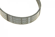 Ремінь генератора Fiat Scudo 1.6 / Renault Kangoo 1.9D 97- (6PK894) Bosch 1987947935, фото 4