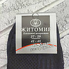 Шкарпетки чоловічі високі літо сітка р.41-45 асорті ЖИТОМИР ОК ДУКАТ 30038806, фото 2