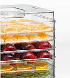 Сушарка для овочів та фруктів 260 Вт 9 секцій Concept Побутовий дегідратор для сушіння м'яса, грибів, ягод, фото 3