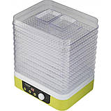 Сушарка для овочів та фруктів 260 Вт 9 секцій Concept Побутовий дегідратор для сушіння м'яса, грибів, ягод, фото 6